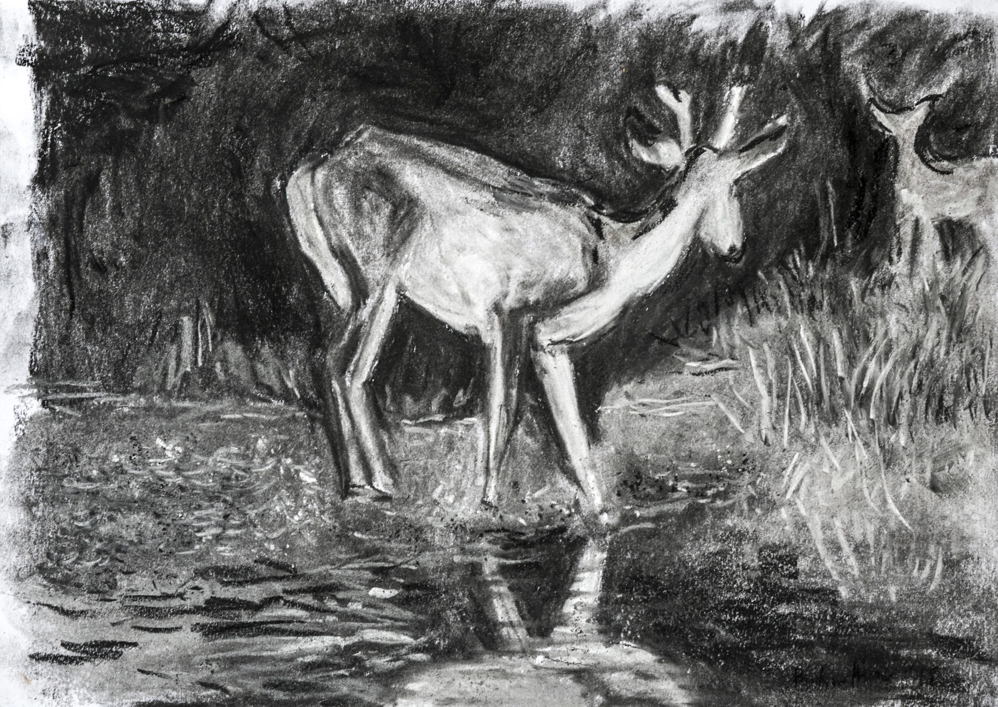 BatinaAlex_Drawing_Collage(5)