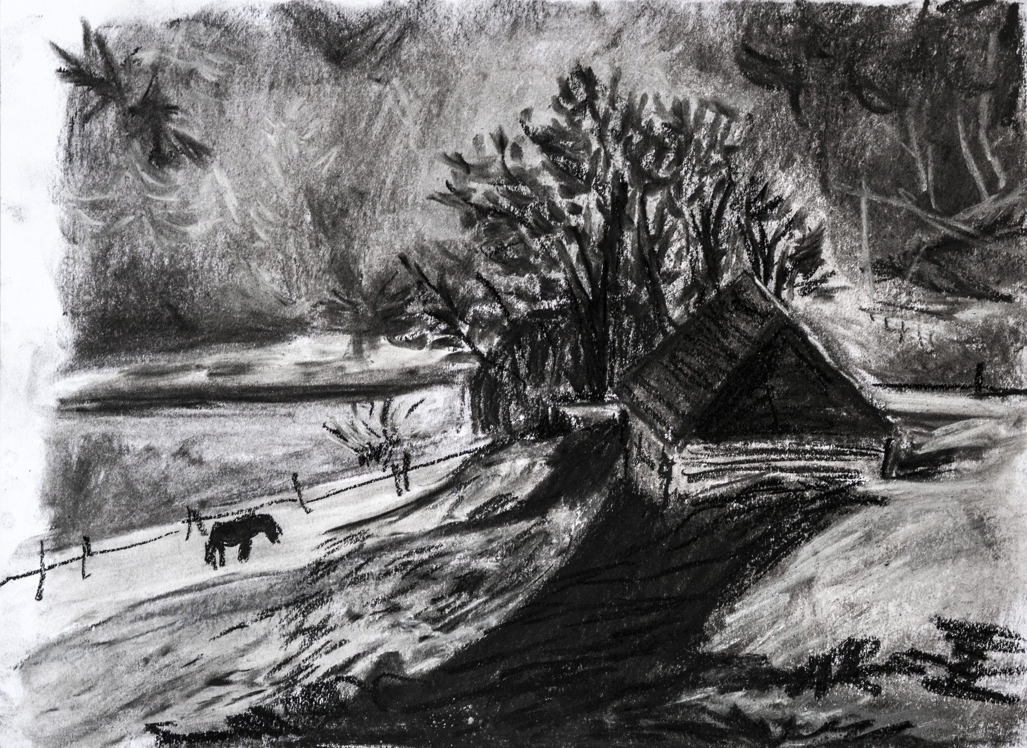 BatinaAlex_Drawing_Collage(6)